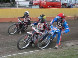 m-s02frankow-sledz-cieslewicz.jpg