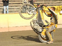 m-s09cieslewicz2.jpg